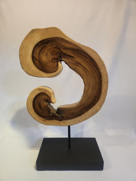 Organic Wood Sculpture on Stand