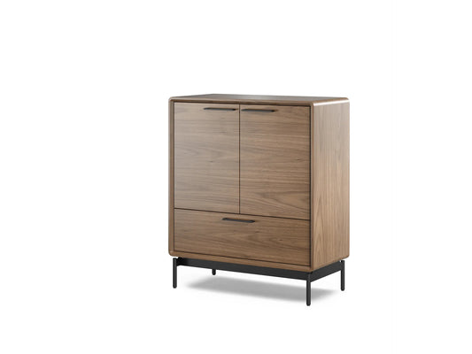 LINQ Entry Cabinet