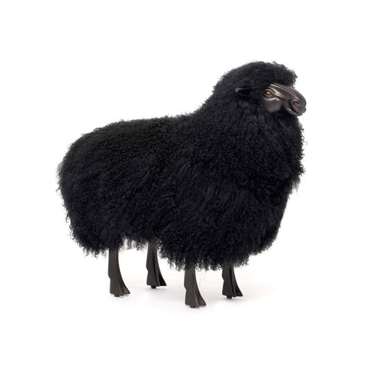 Theo Baby Sheep