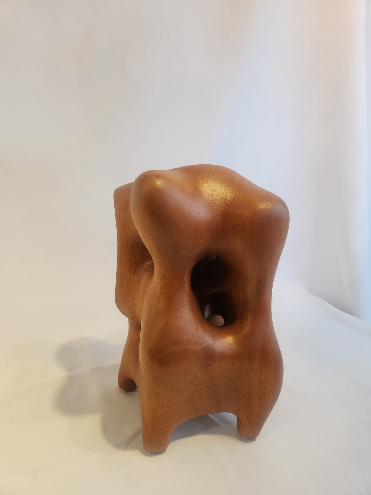 Natural Organic Sculpture