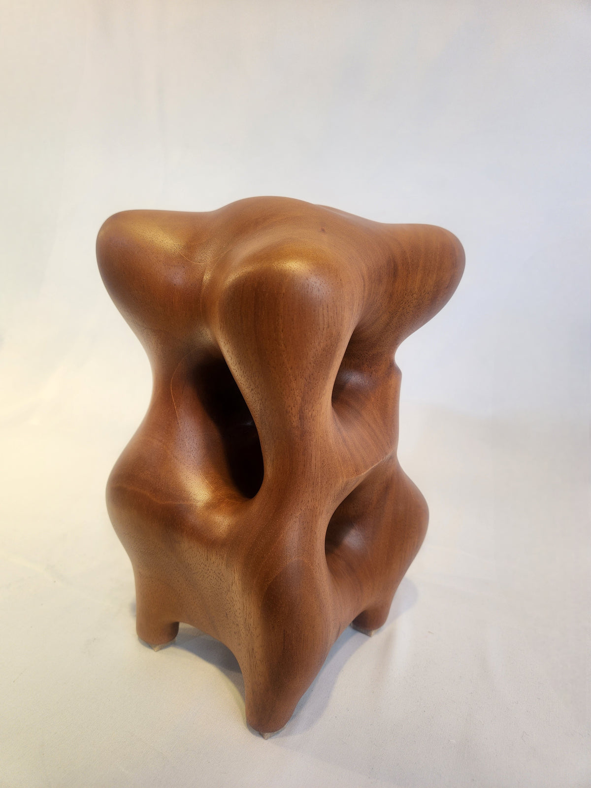 Natural Organic Sculpture