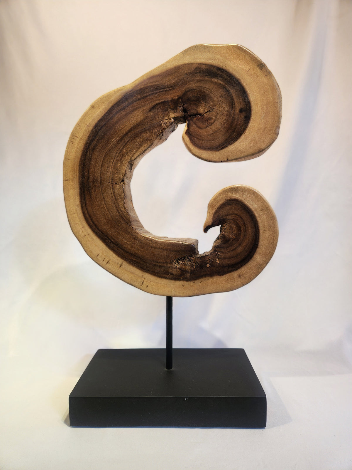 Organic Wood Sculpture on Stand