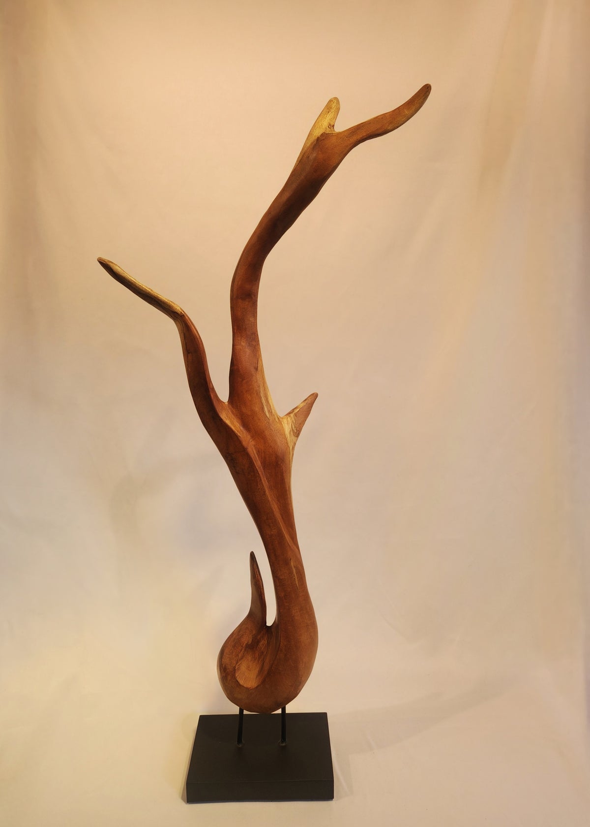 Organic Mahogany Sculpture