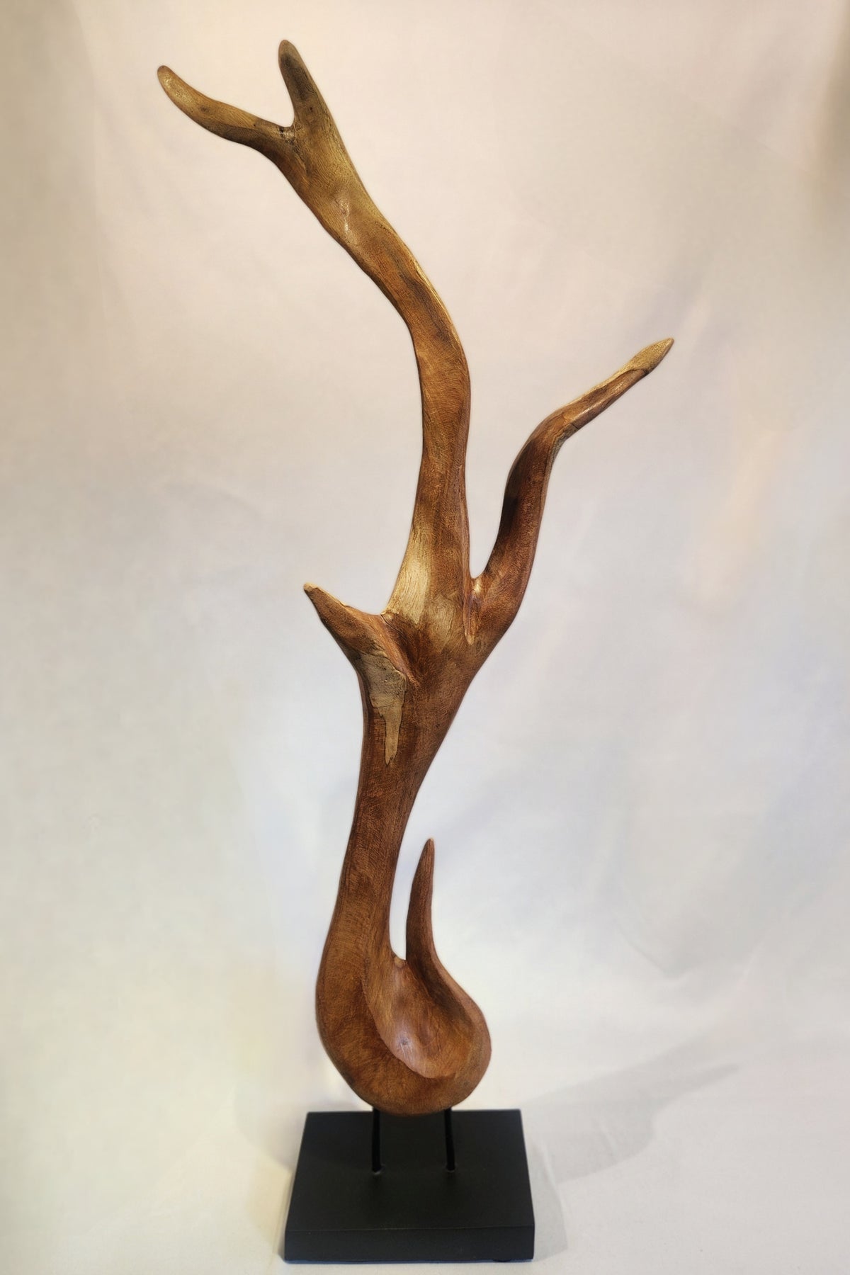 Organic Mahogany Sculpture
