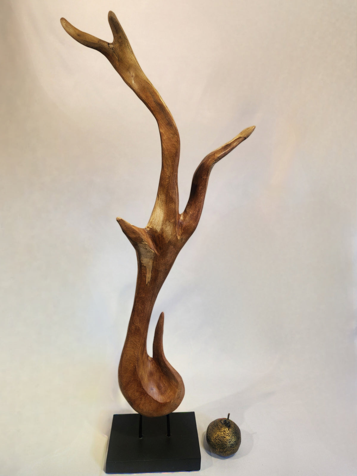 Organic Mahogany Sculpture
