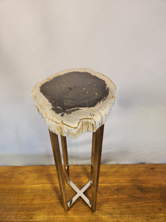 Petrified Wood Drink Table