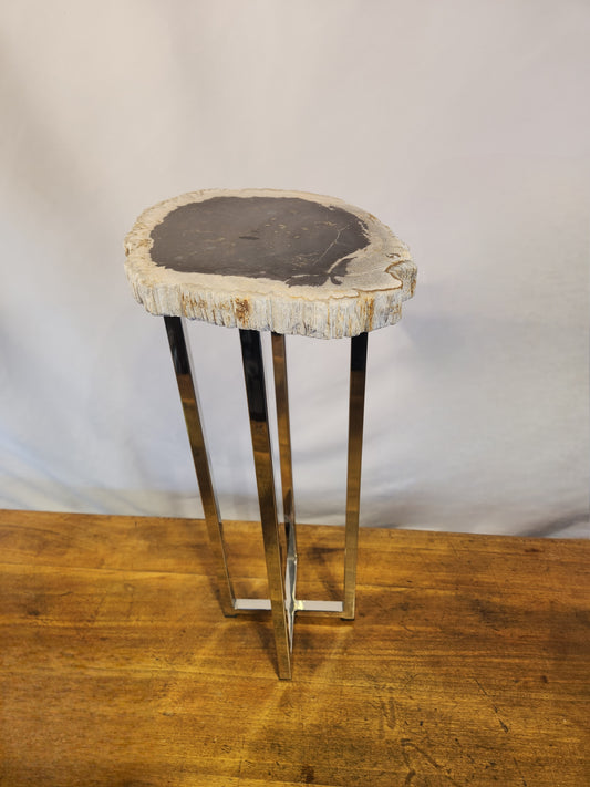 Petrified Wood Drink Table