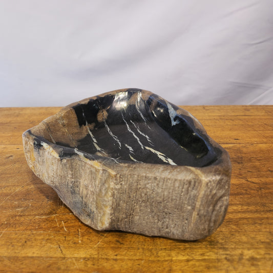 Petrified Wood Dish