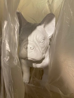 French Bulldog - Large