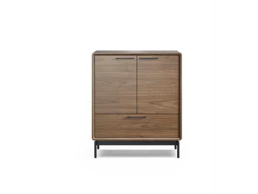 LINQ Entry Cabinet